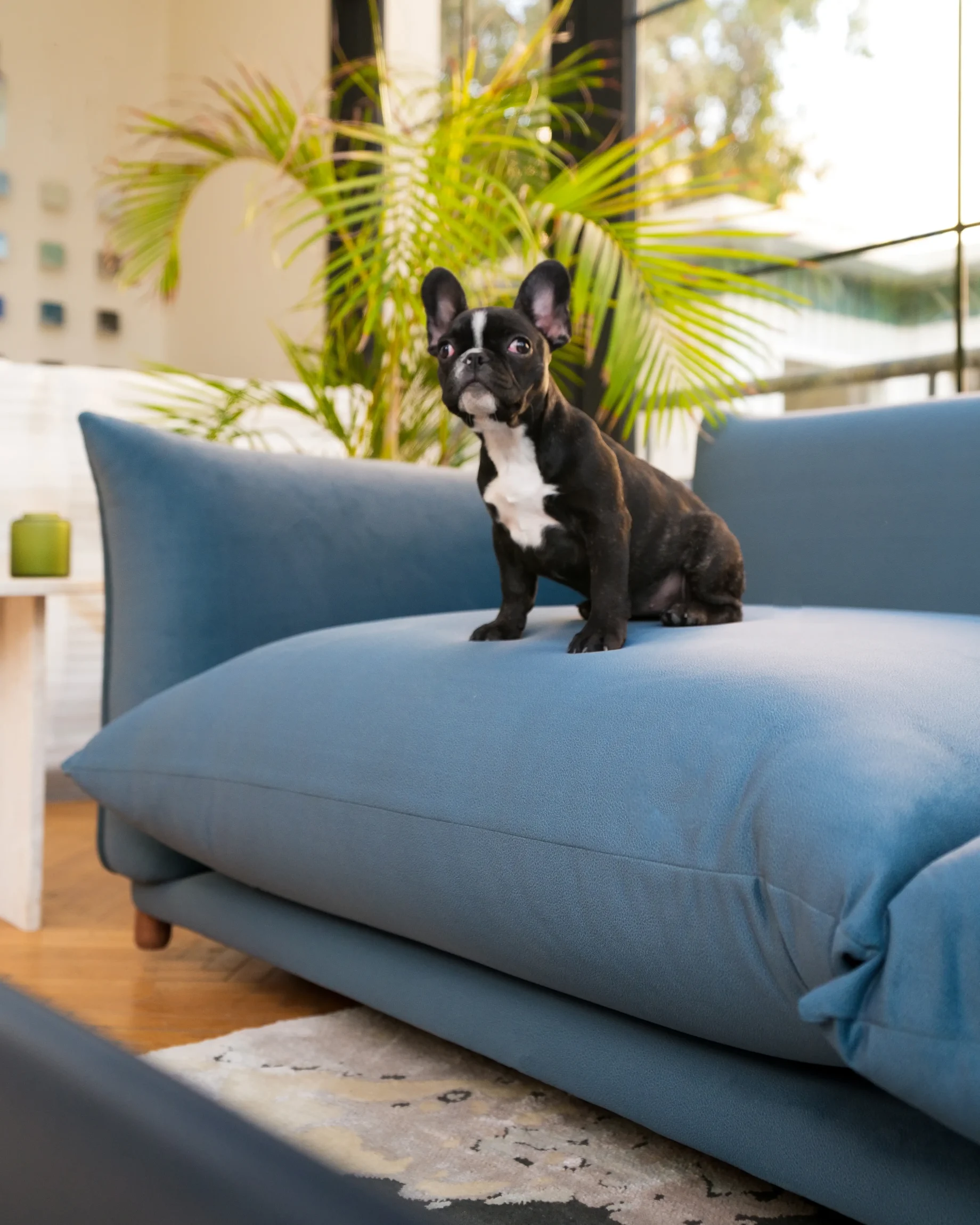 Big Cloud Sofa